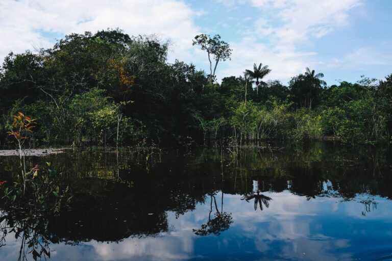 A dzsungel hívása: Amazonas esőerdő expedíció